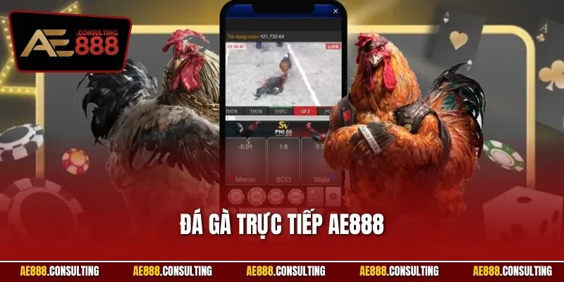 Đá gà trực tiếp AE888