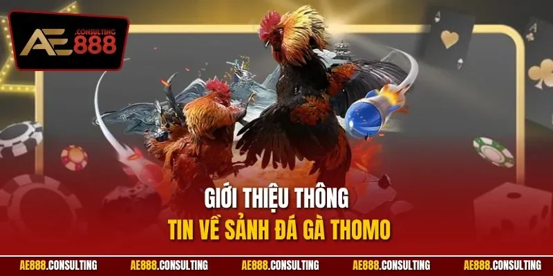 Giới thiệu thông tin về sảnh đá gà THOMO