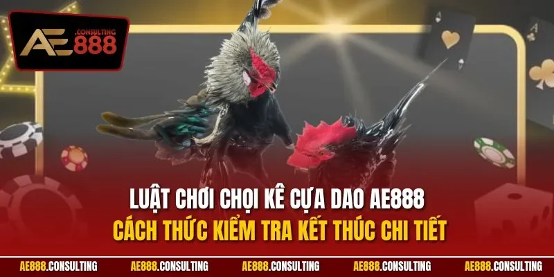 Luật chơi chọi kê cựa dao AE888 cách thức kiểm tra kết thúc chi tiết