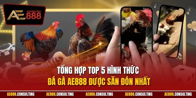 Tổng hợp top 5 hình thức đá gà AE888 được săn đón nhất